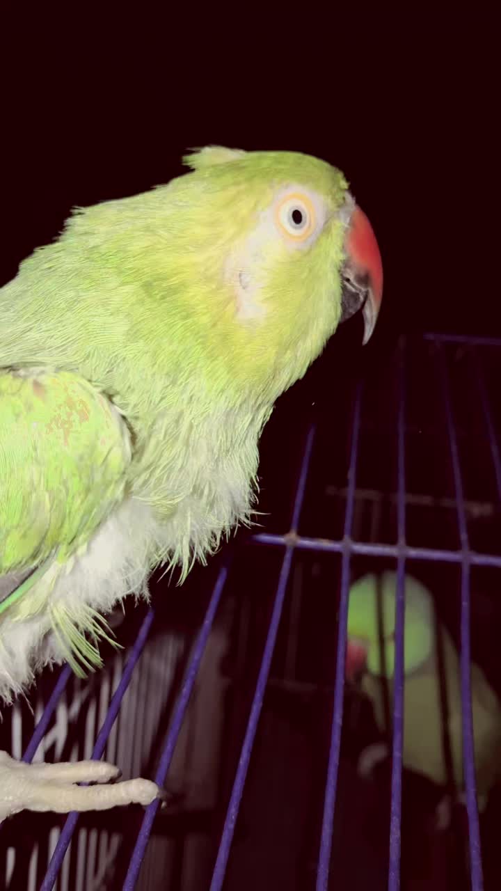 @𝙨𝙝𝙖𝙧𝙞𝙦⚡️