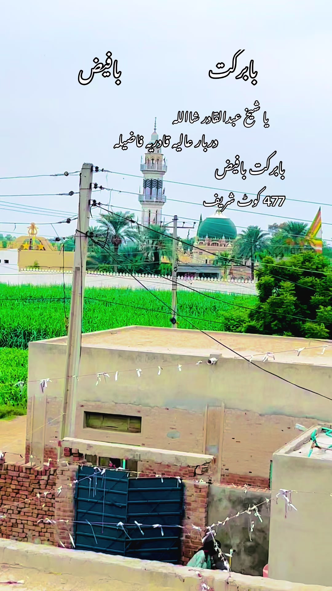 @🍂🌾 پنجابی کلچر 🌾🍂