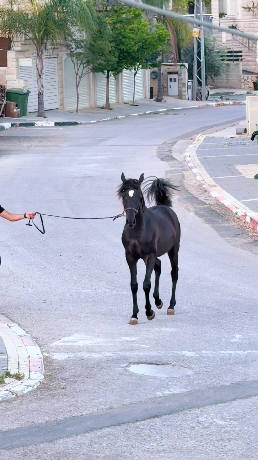 @חוסיין כעביה🐎