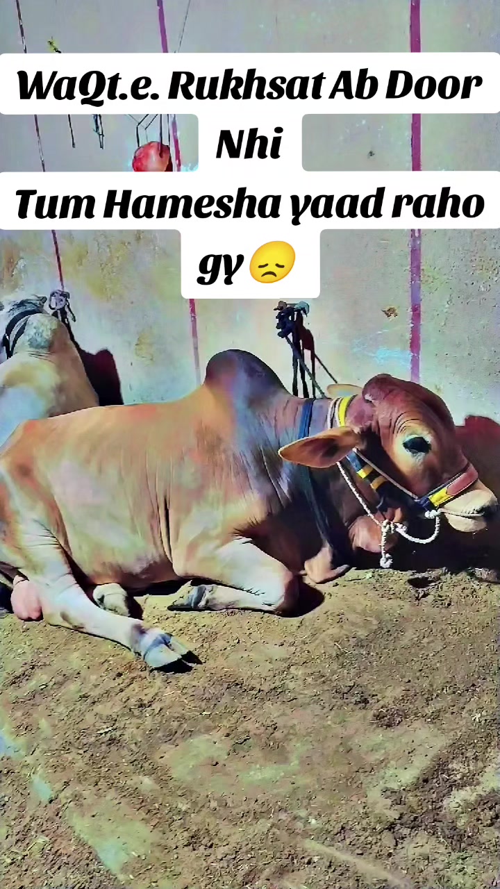 @🔥SARDAR😎🔥