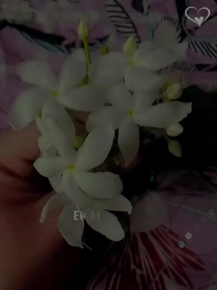 @đĨ°purnuđĨ°