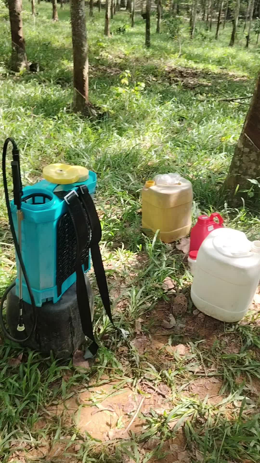 @BokbangHawau