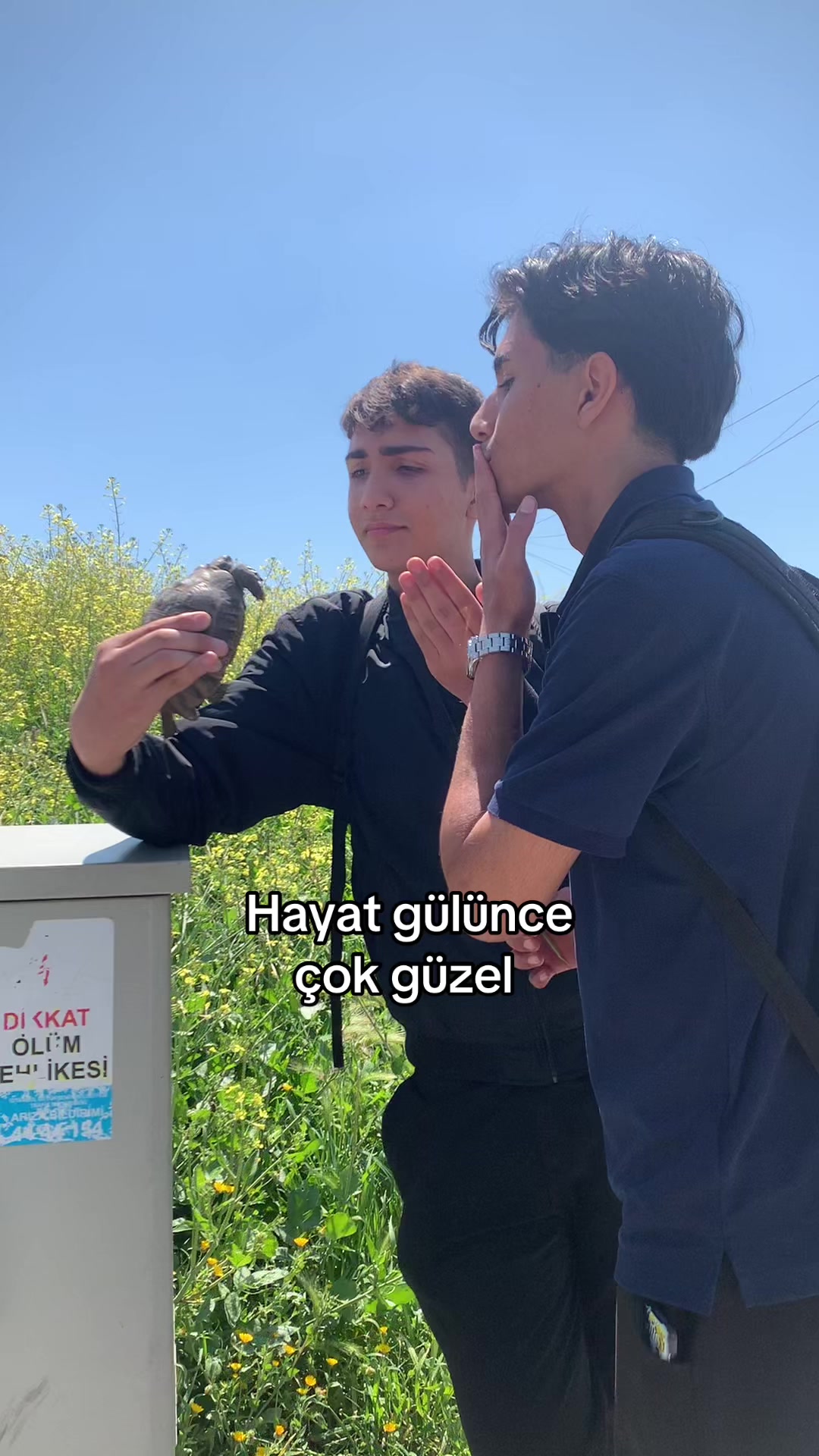 @11-B