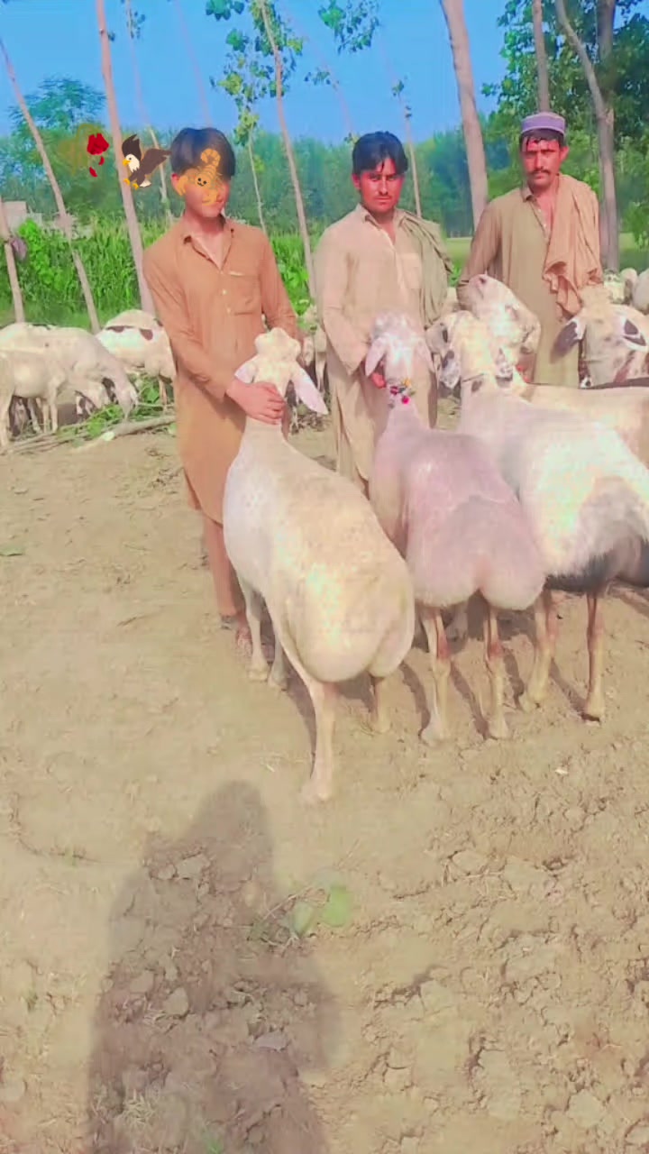 @🚩🚩adilkhan123456🚩🚩🦅