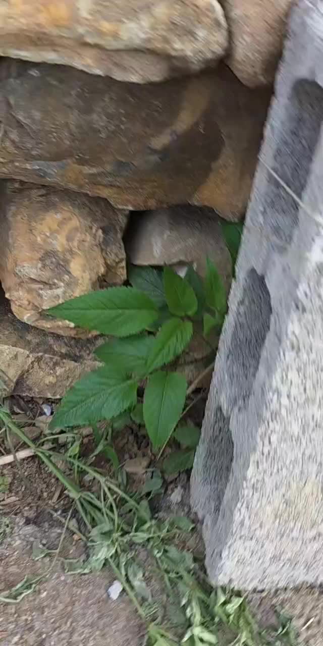 @커피향