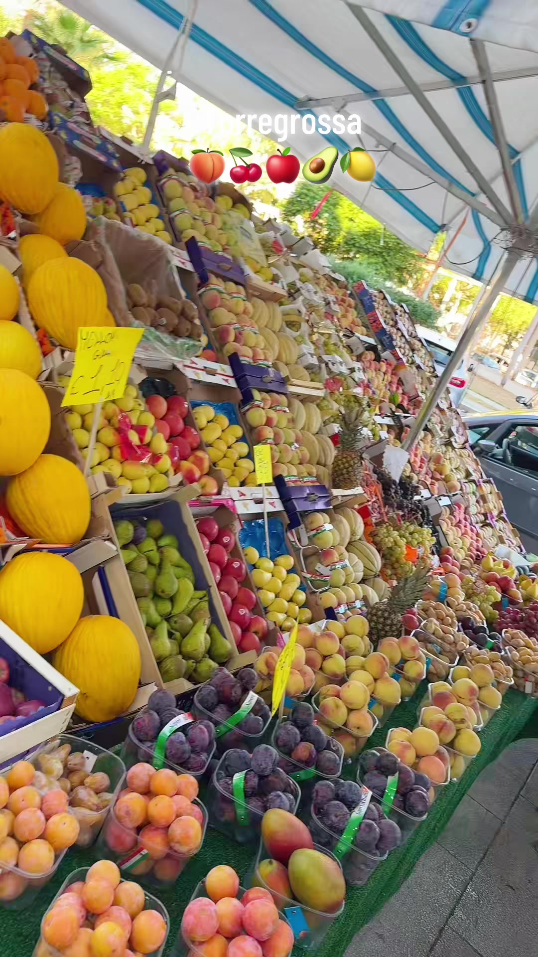 @Torregrossaortofrutta