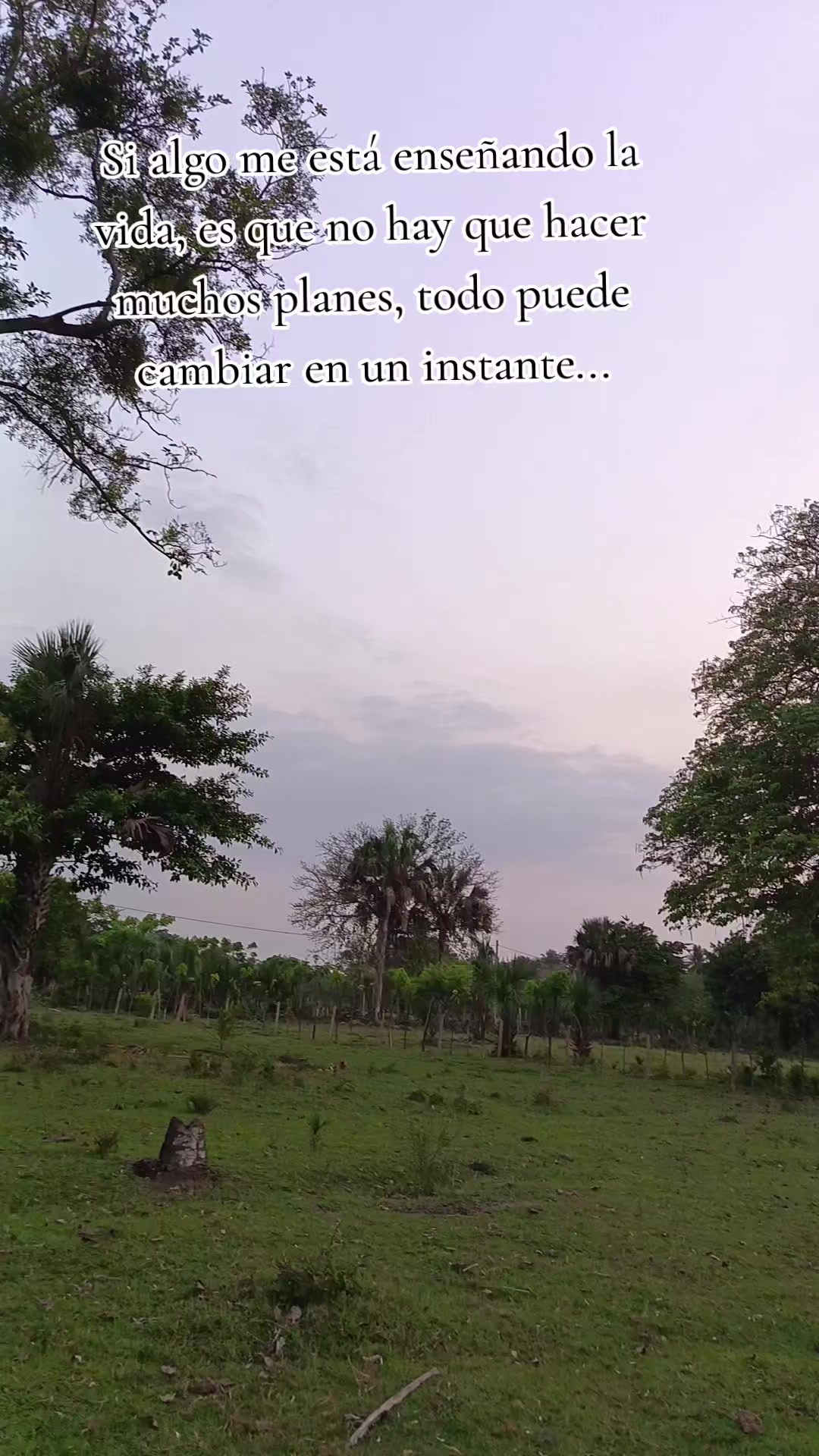 @Alexandra Monzon