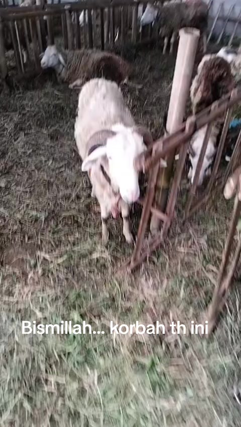 @Hadi Wijaya