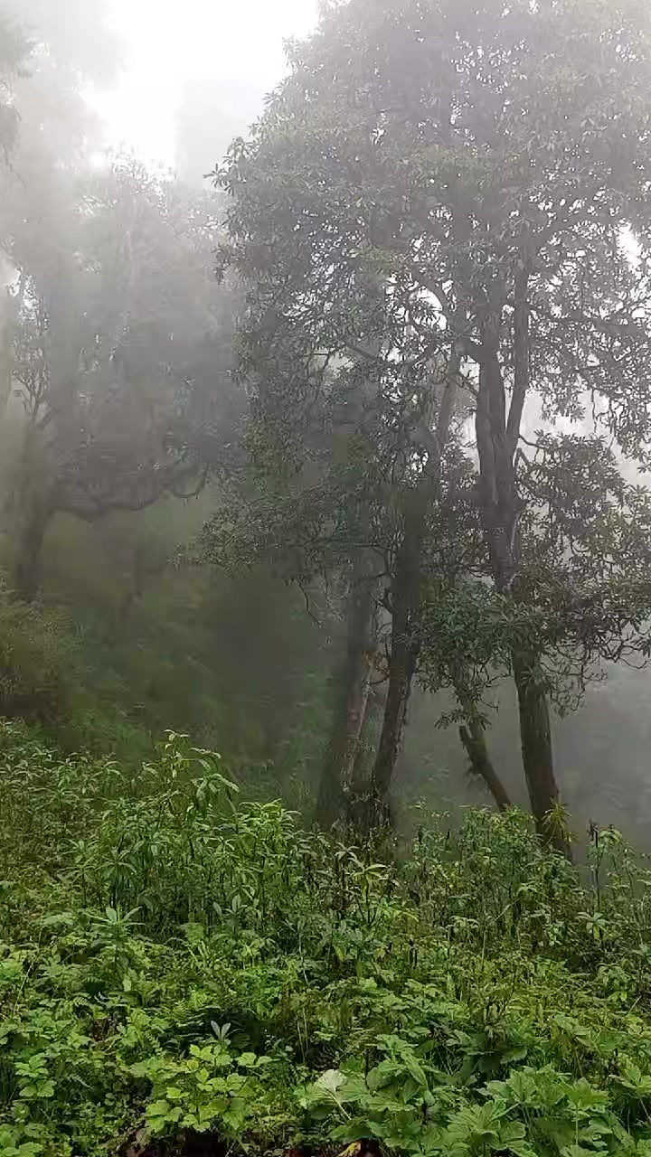 @Shreepali❣️RB💝