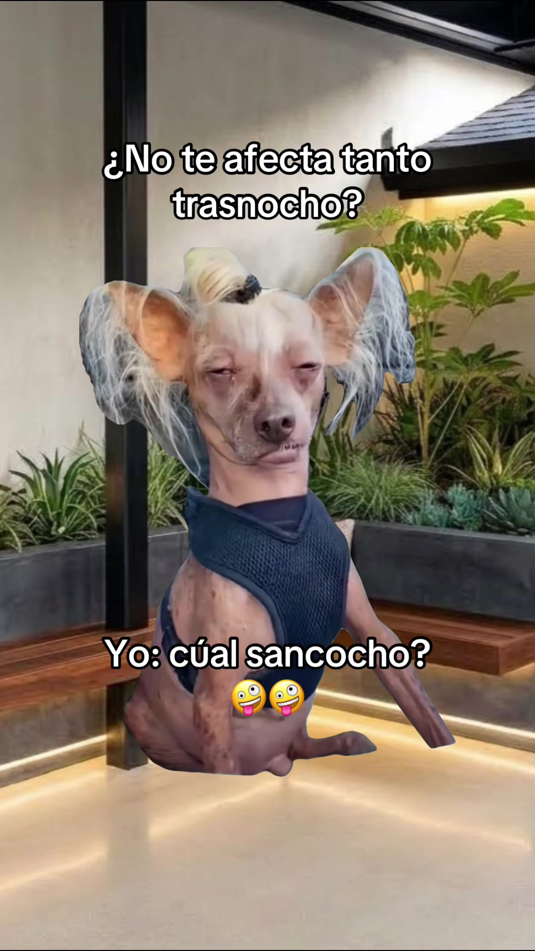 @Irreverente💯