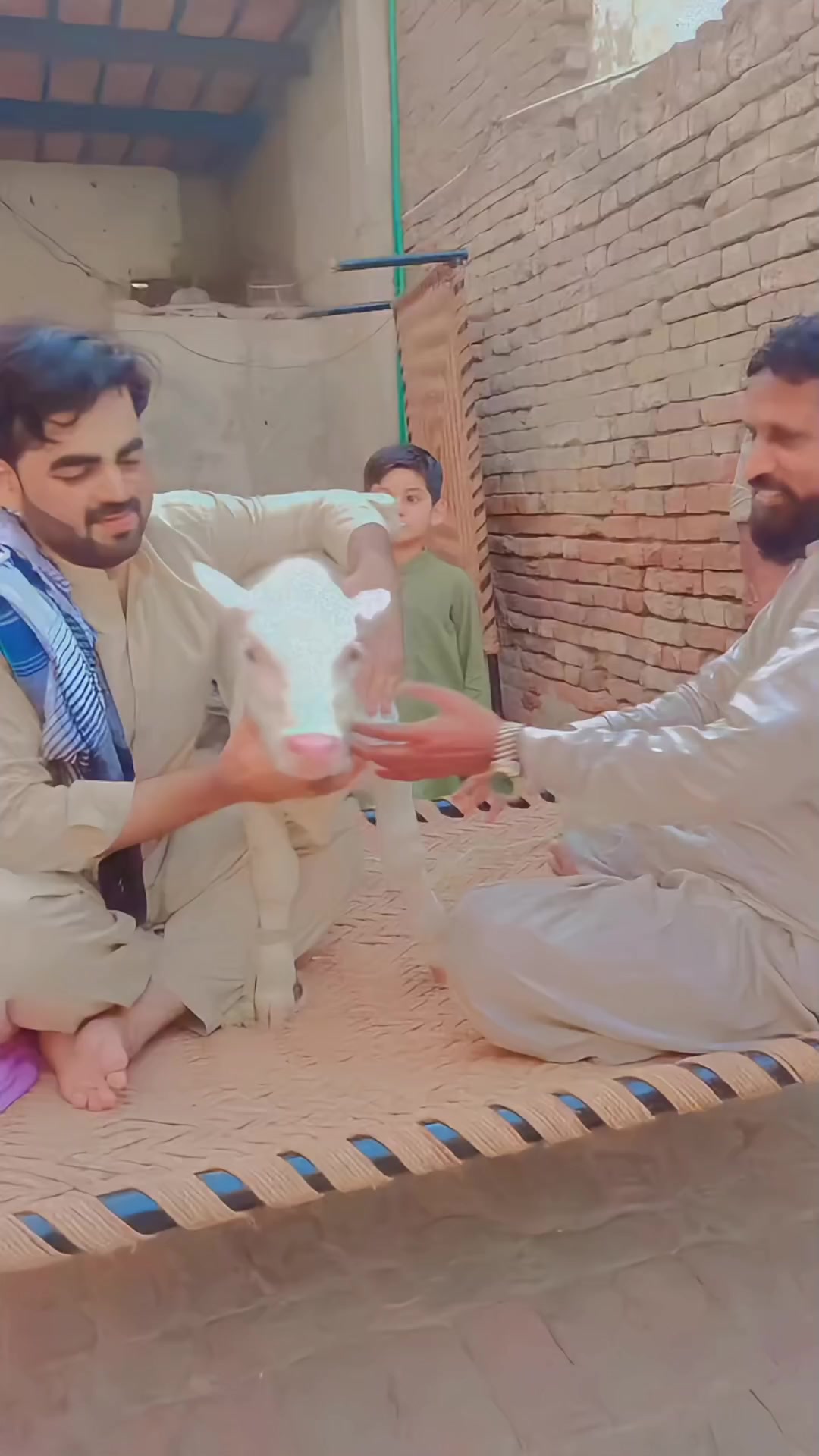 @Asif Malik