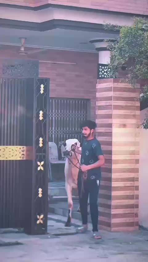 @uzairoooo1