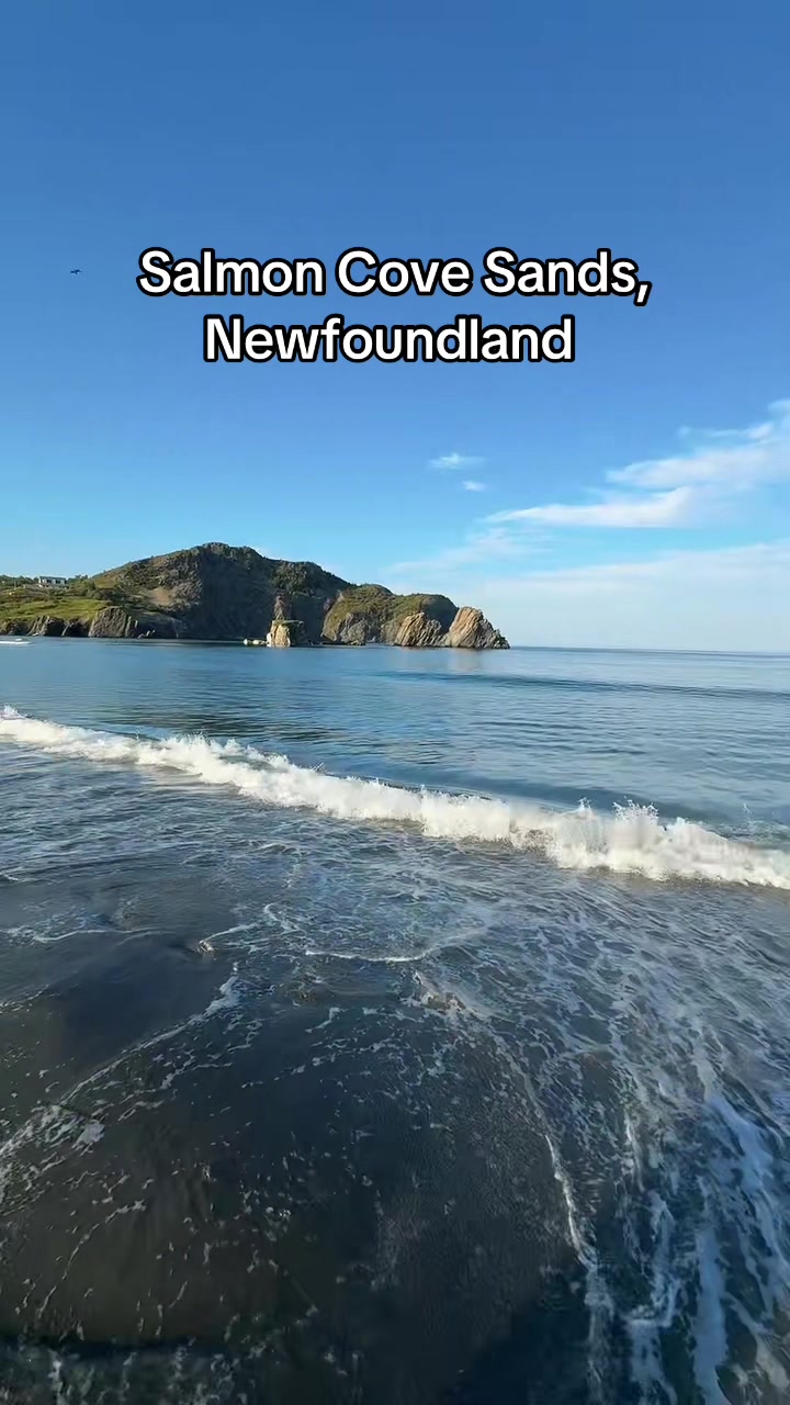 @newfiegirl1709🇨🇦