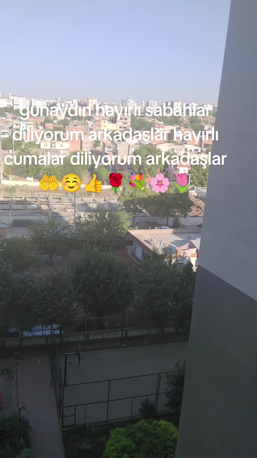 @Ronayi