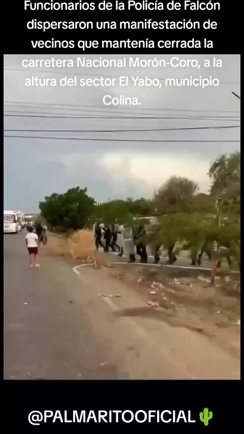 @PALMARITOOFICIAL 🌵