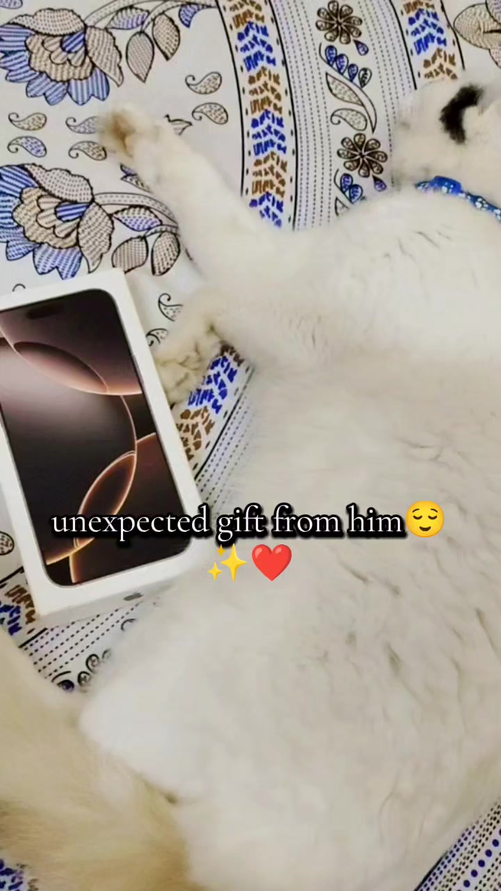 @🌸Krishnakoli🌸🦋