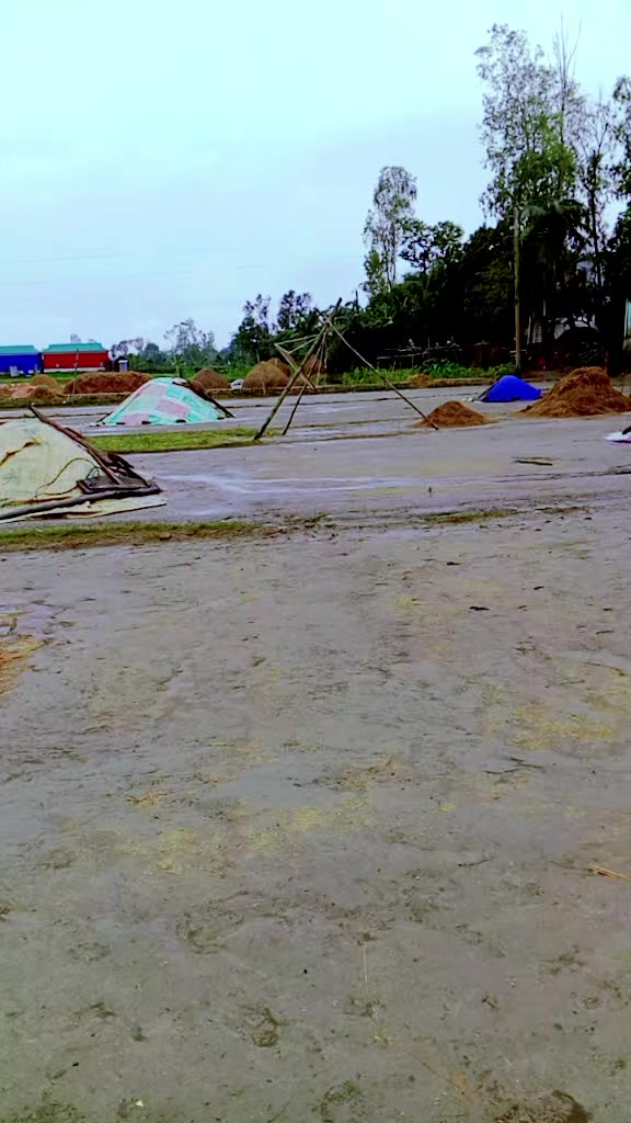 @নীল আকাশের তারা