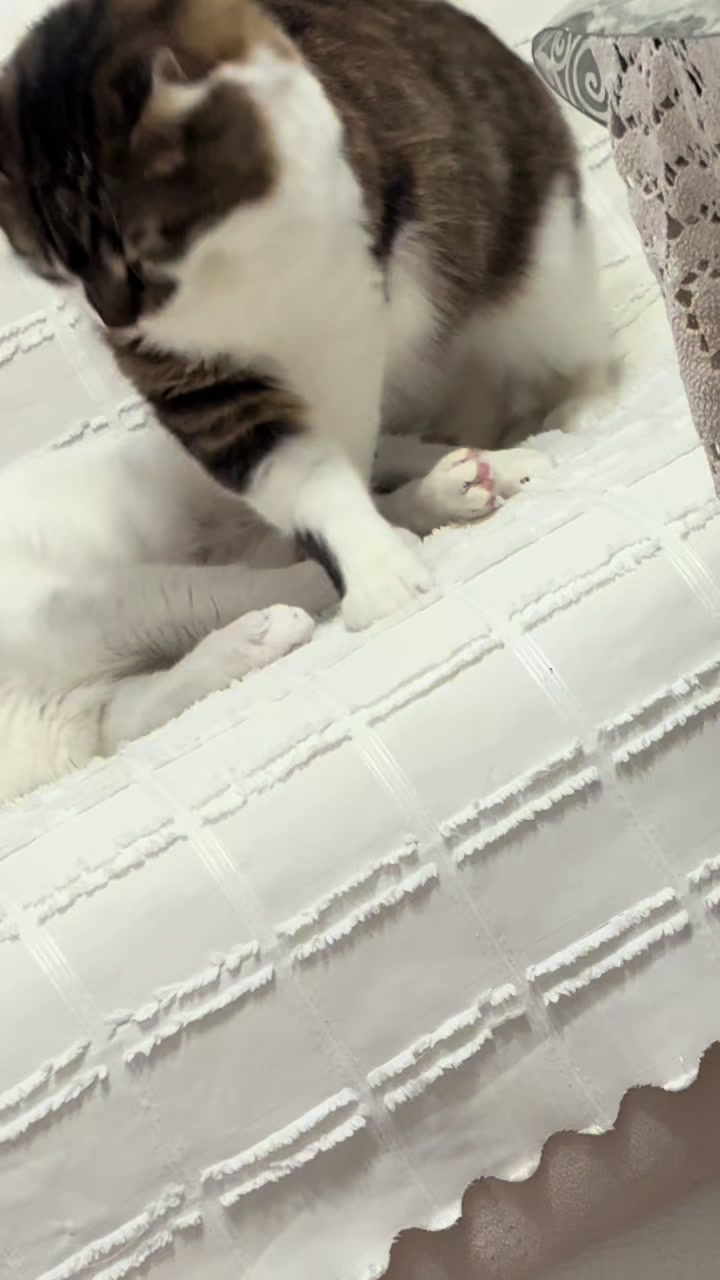 @ꨄ yelisblogsꨄ
