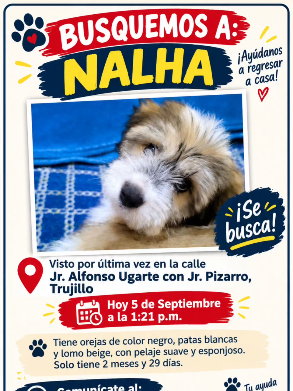 @Perritos Voladores