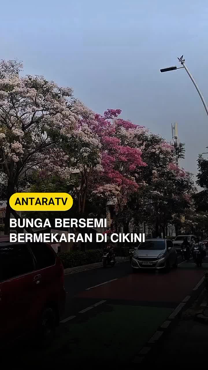 @Antara TV Indonesia