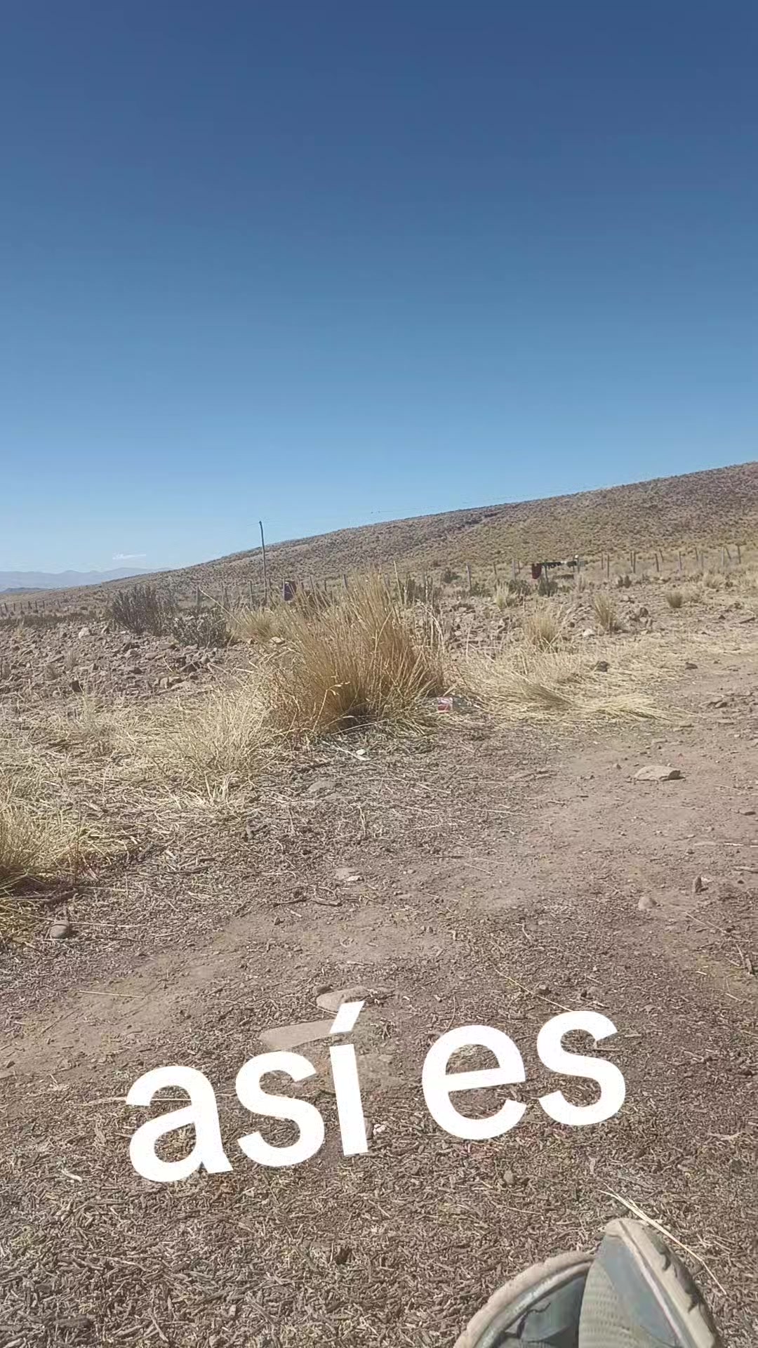 @maribelchoque472
