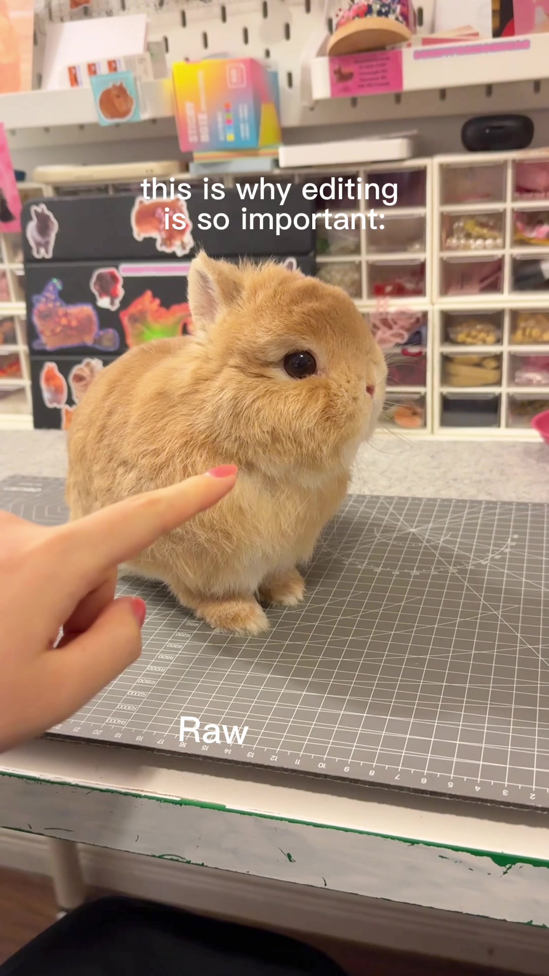 @Eggie