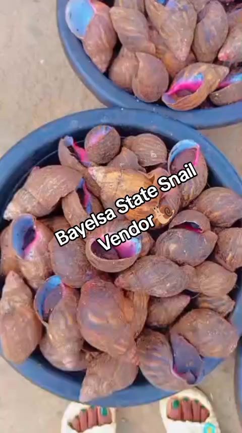 @Shuga Berry🇳🇬🇲🇾