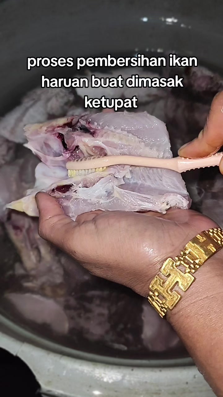 @warung katupat acil ella