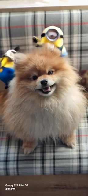 @TEDDY