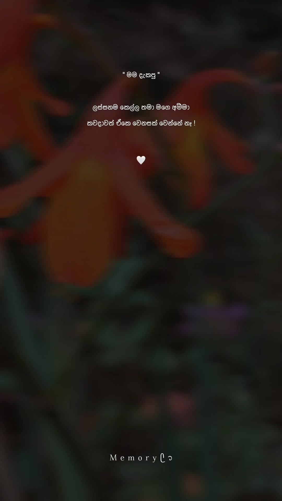 @ꪑᴇᴍᴏʀʏ ꪜɪ᥇ꫀꜱ 🤍❕