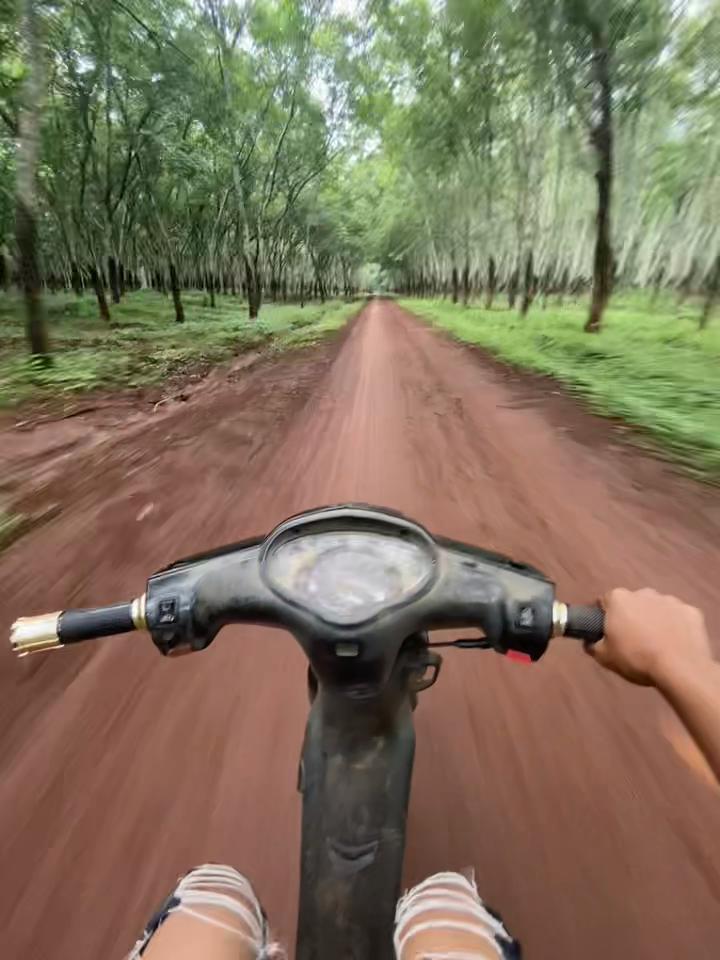@ʟɪɴᴀヅ