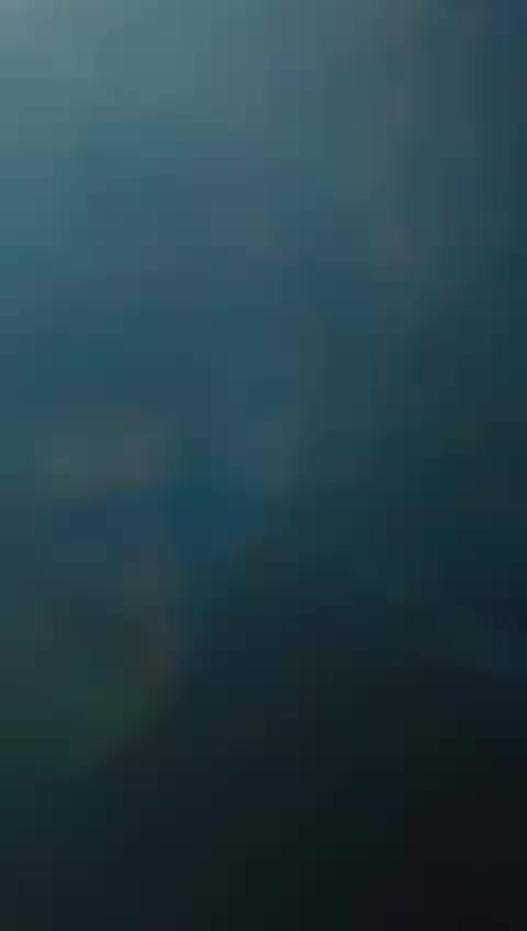 @ᴛᴀʏʏᴀʙ ᴀғʀᴇᴇᴅᴇ 919
