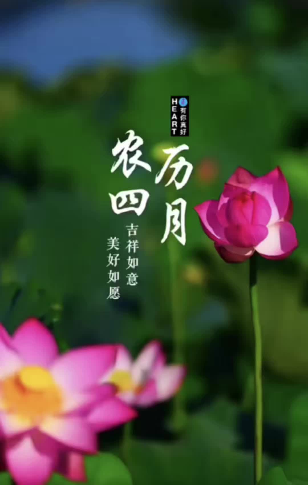 @HEART❤️有你真好 「承蒙厚愛 不勝感激」✨