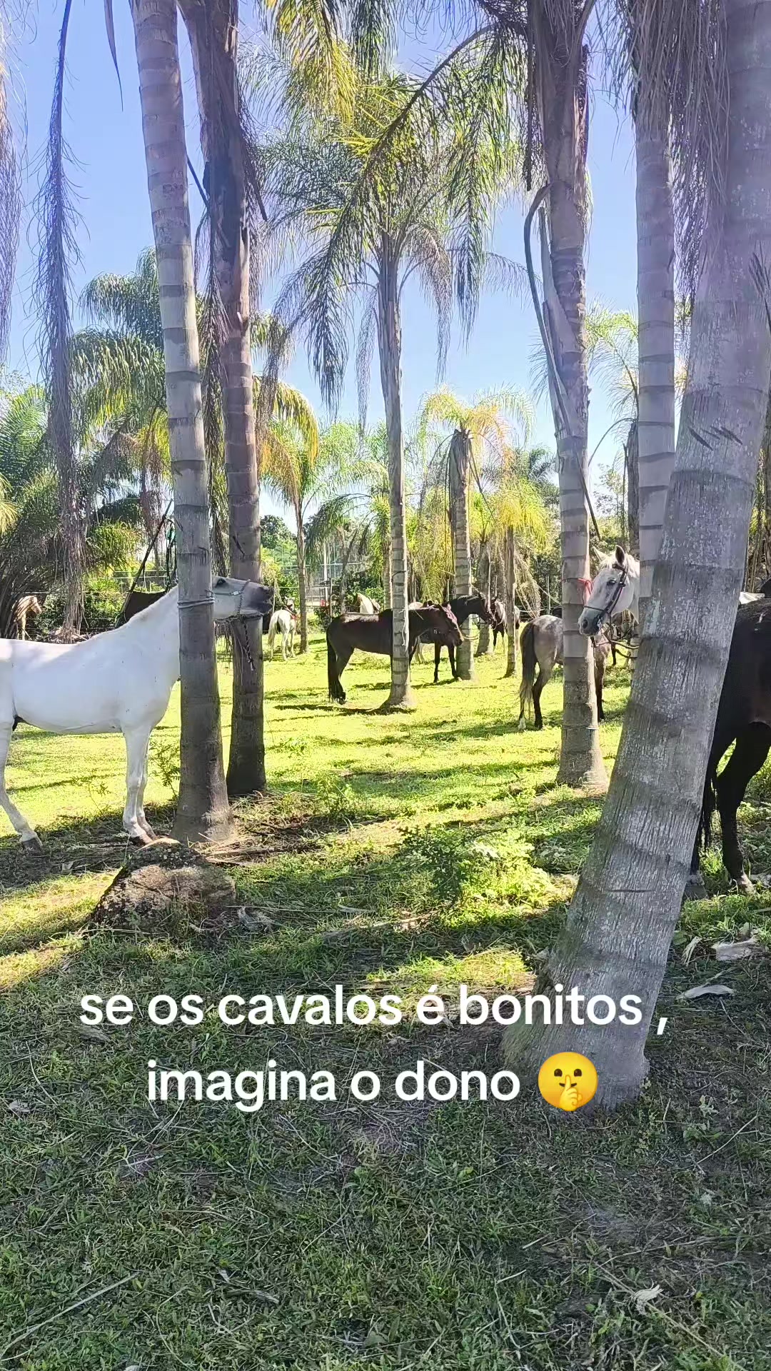 @Silvana Souza