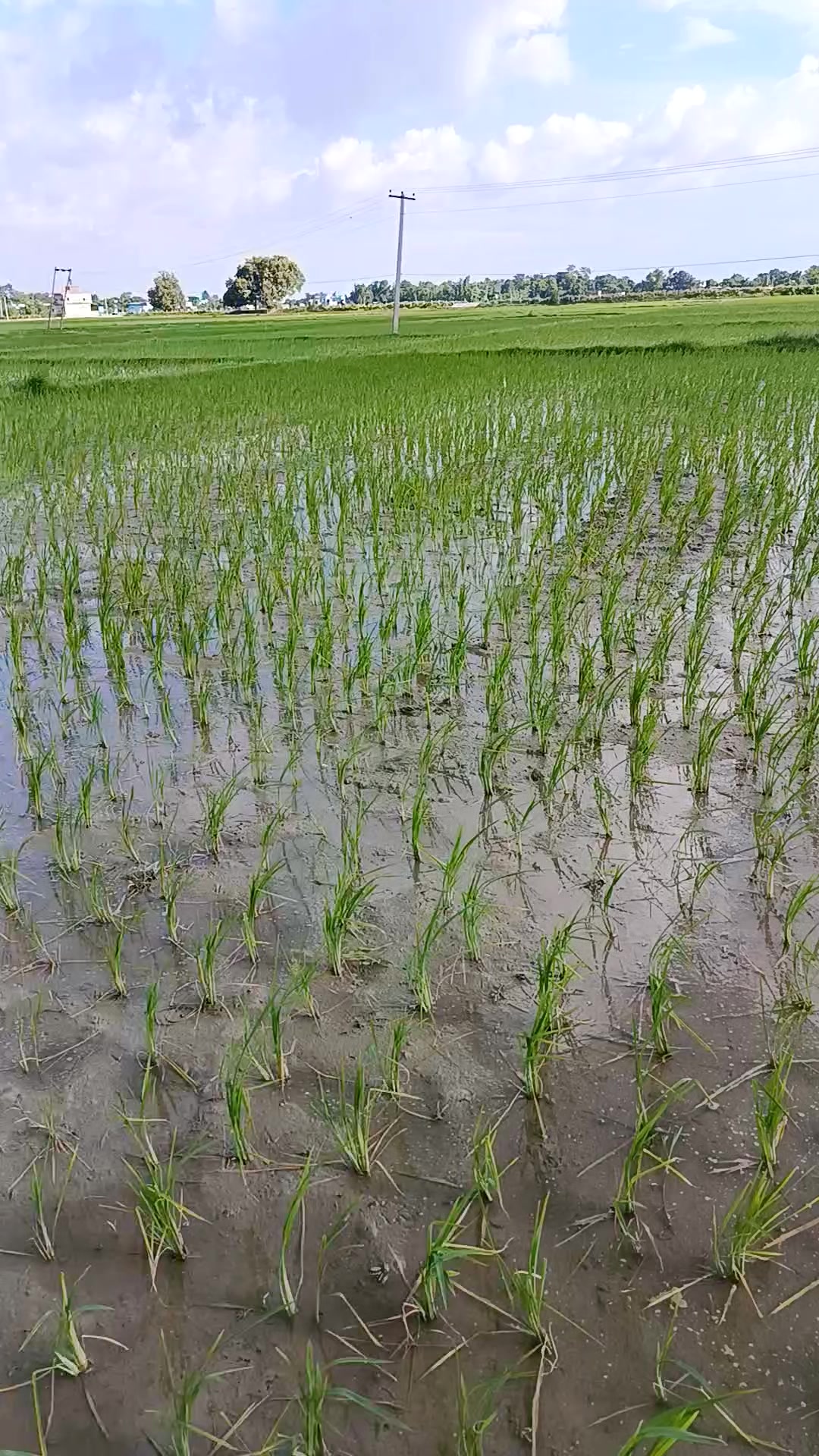 @खनाल कान्छो 🇳🇵❤️❤️