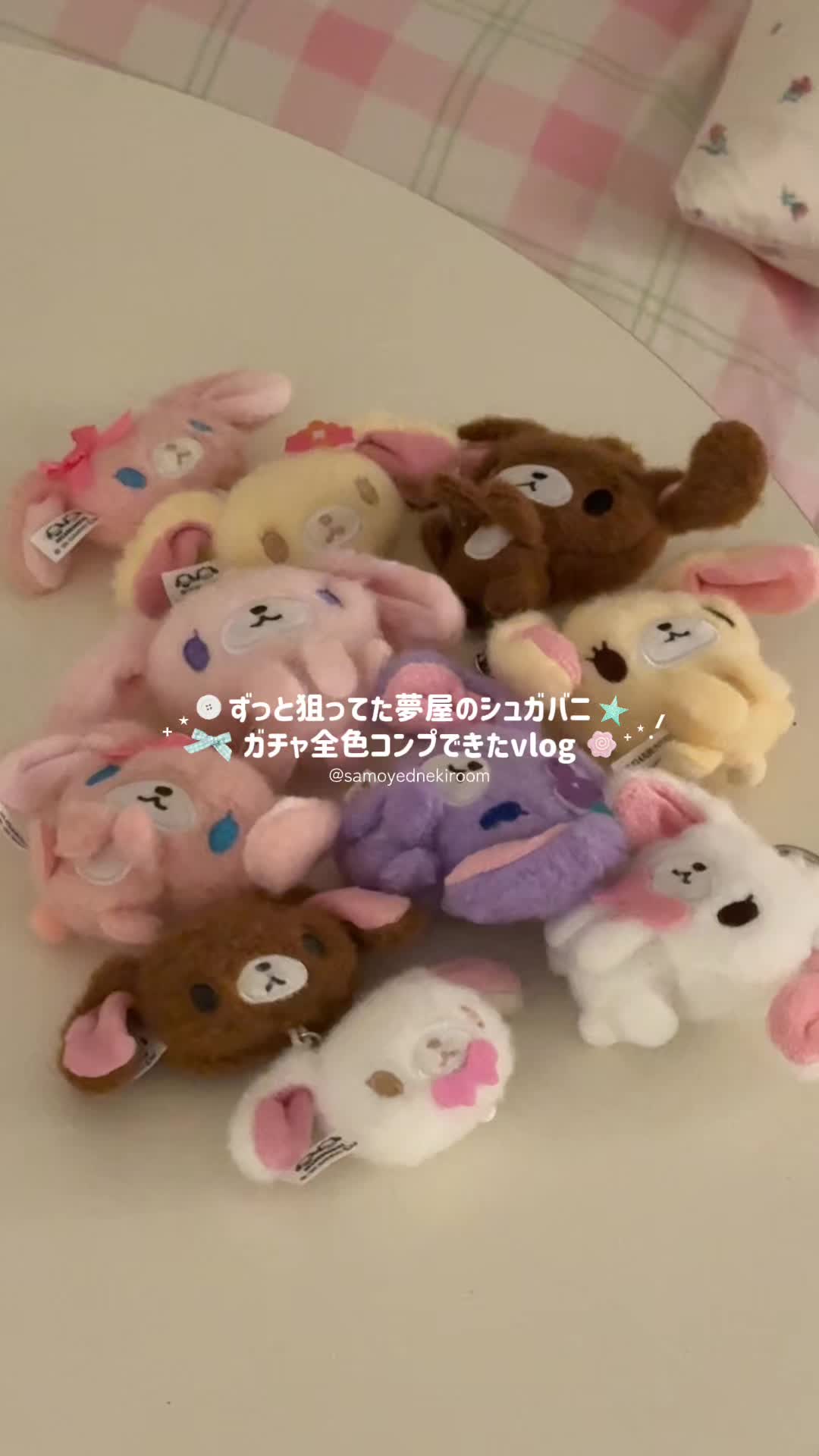 @サモエドネキのお部屋