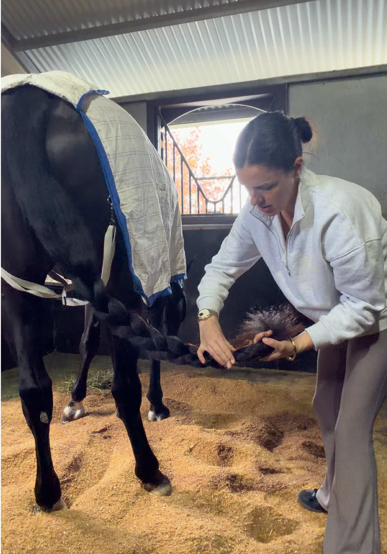 @Luxe Lengths Equine Extensions