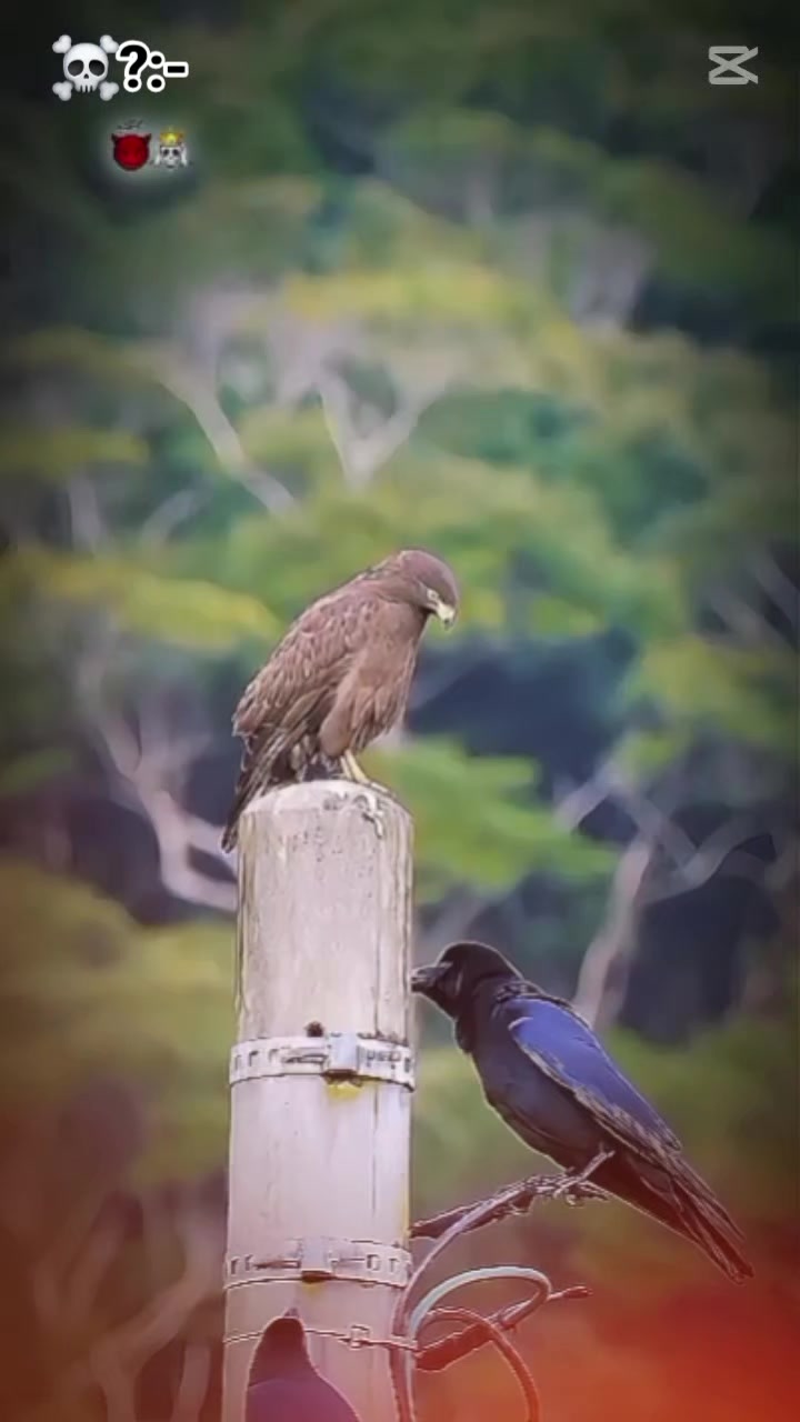 @🦋🌚waris rajpoot 74🌚🦋