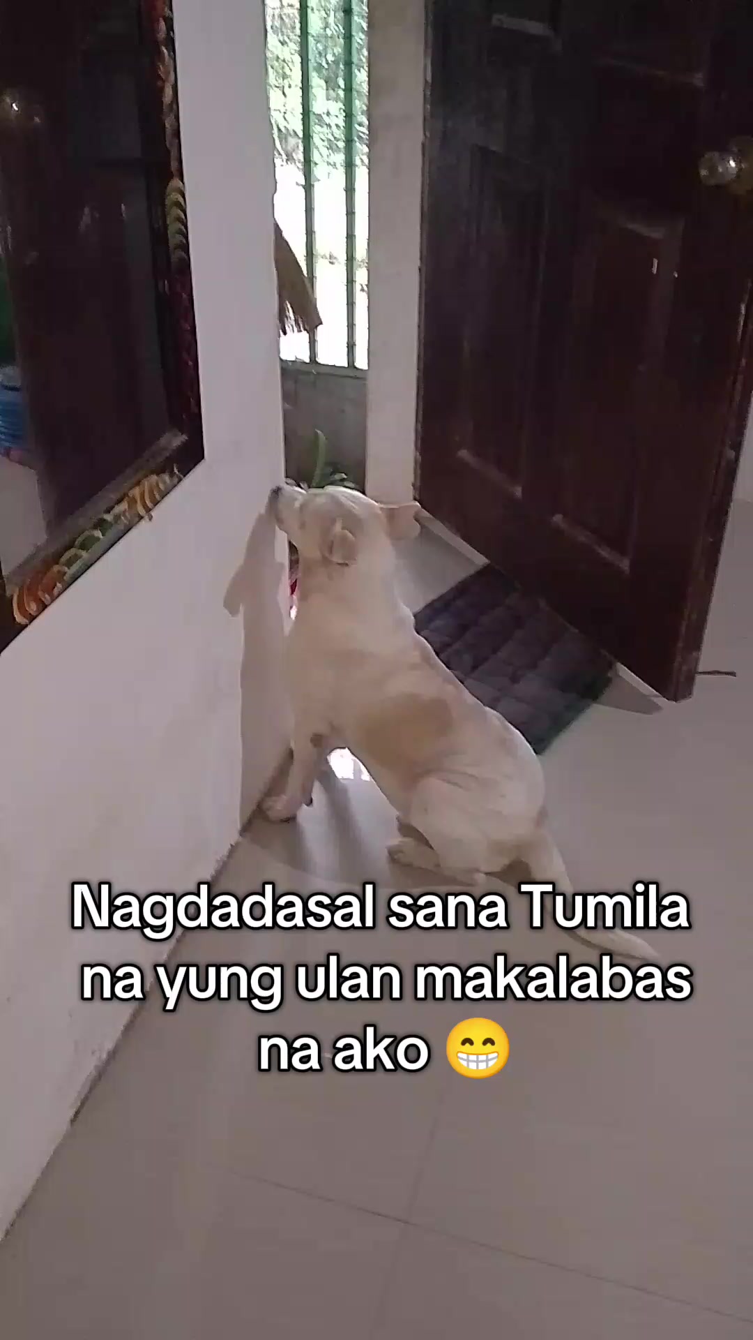 @BYAHE Ni PAR