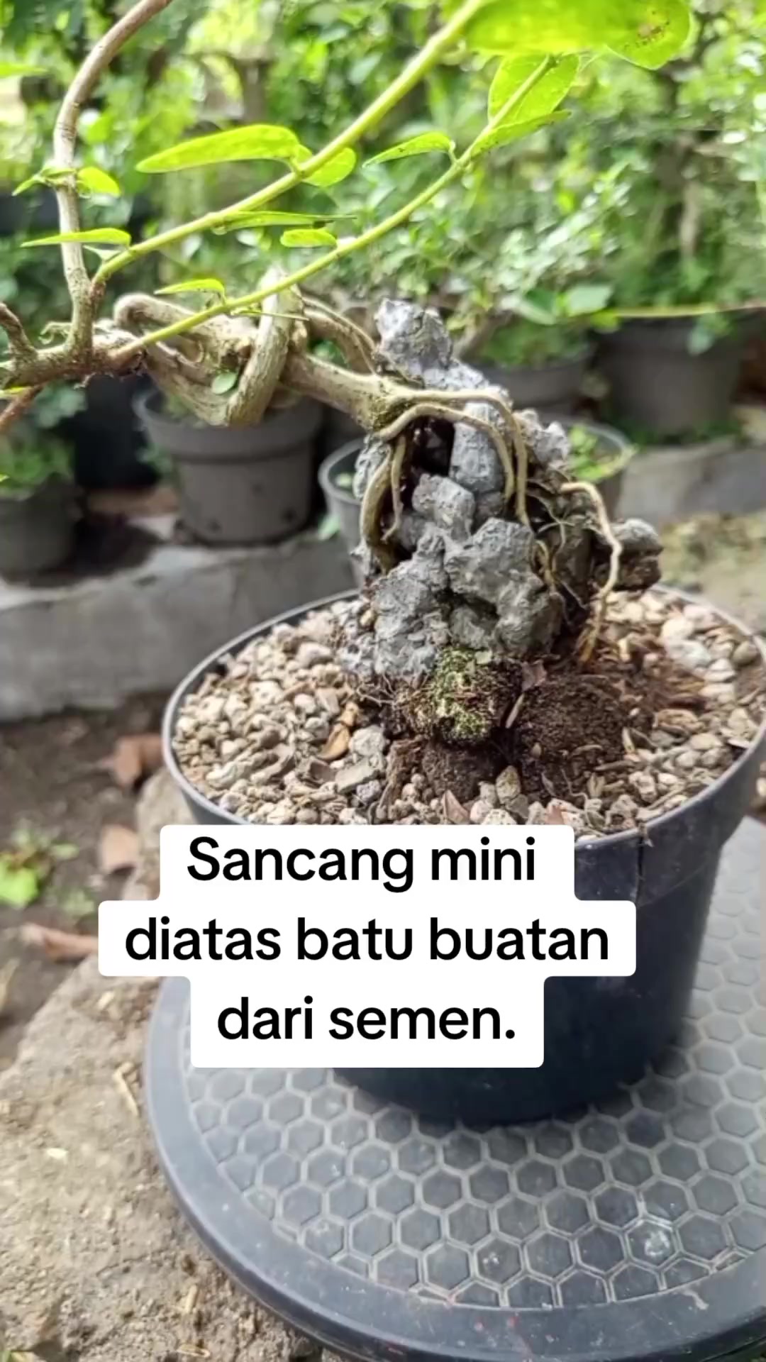 @Bos07