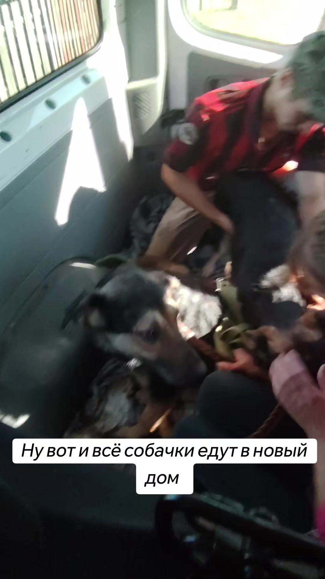 @Передержка «Лёнин рай» 🐶🦮