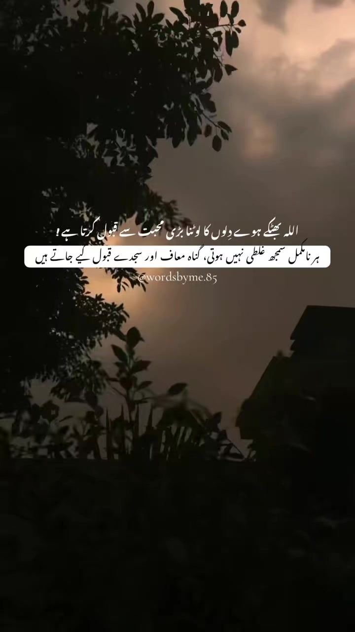 @Quran vibes✨