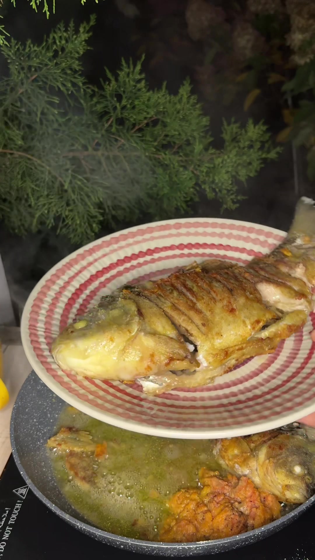 @ALONA | FOOD & HOME