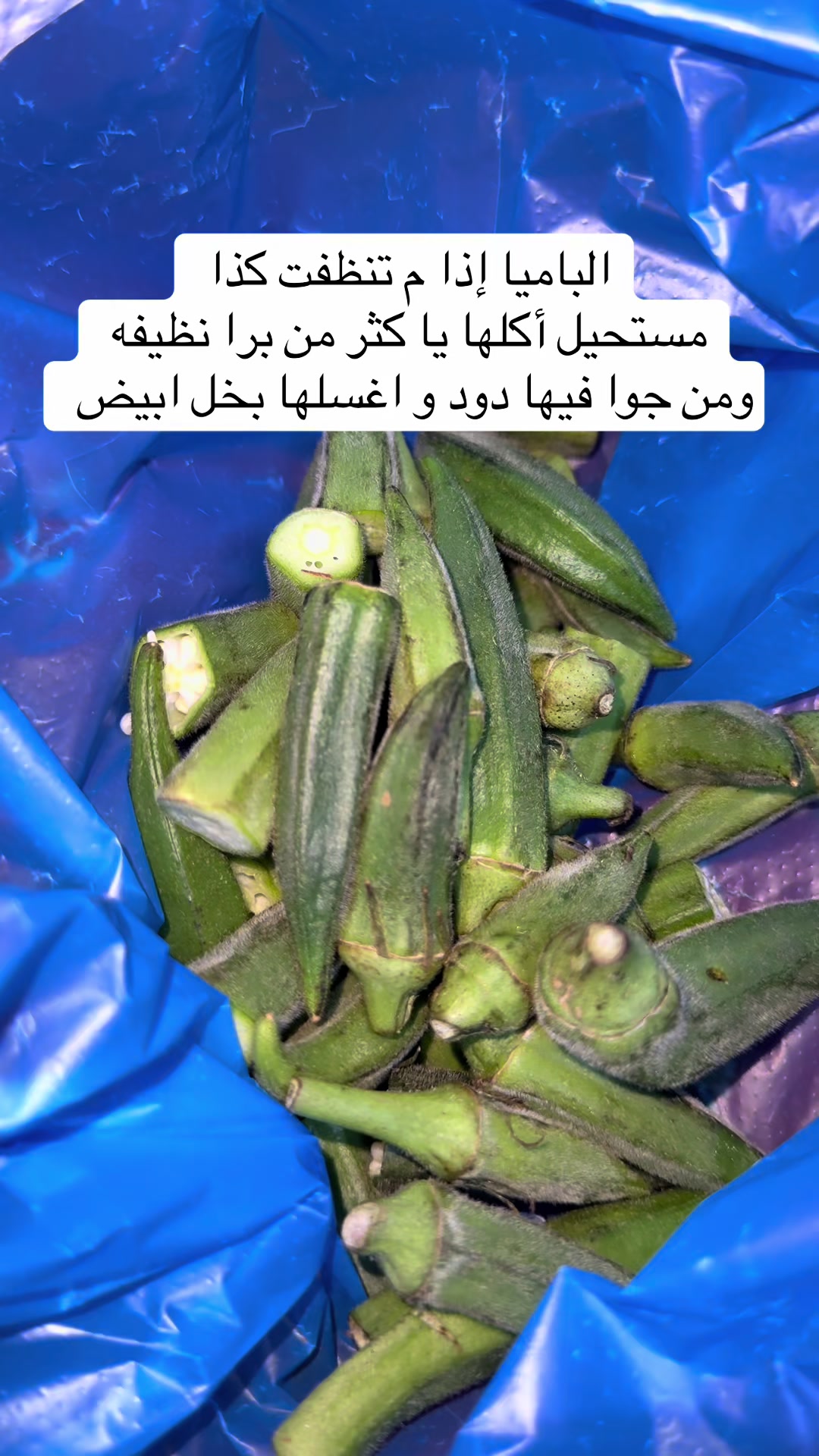 @غيداء أم روان الهذلي💕