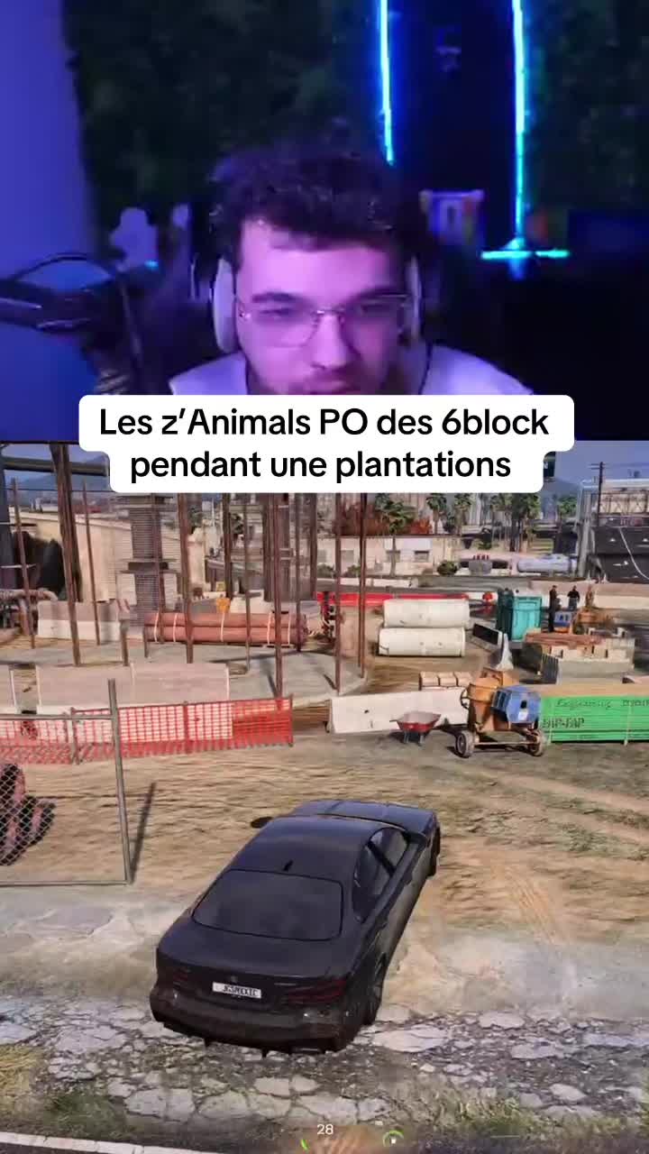 @FlashbackWL