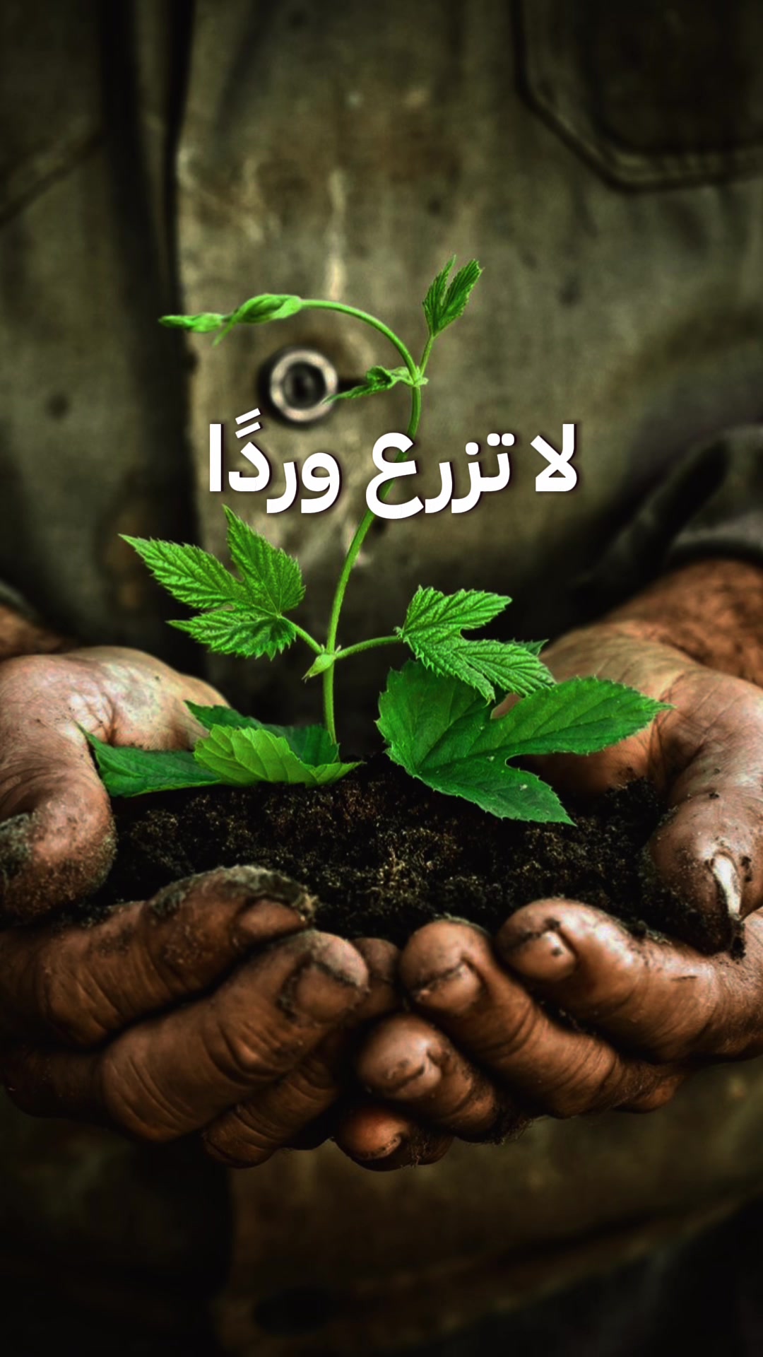 @THAERALKHATEEB