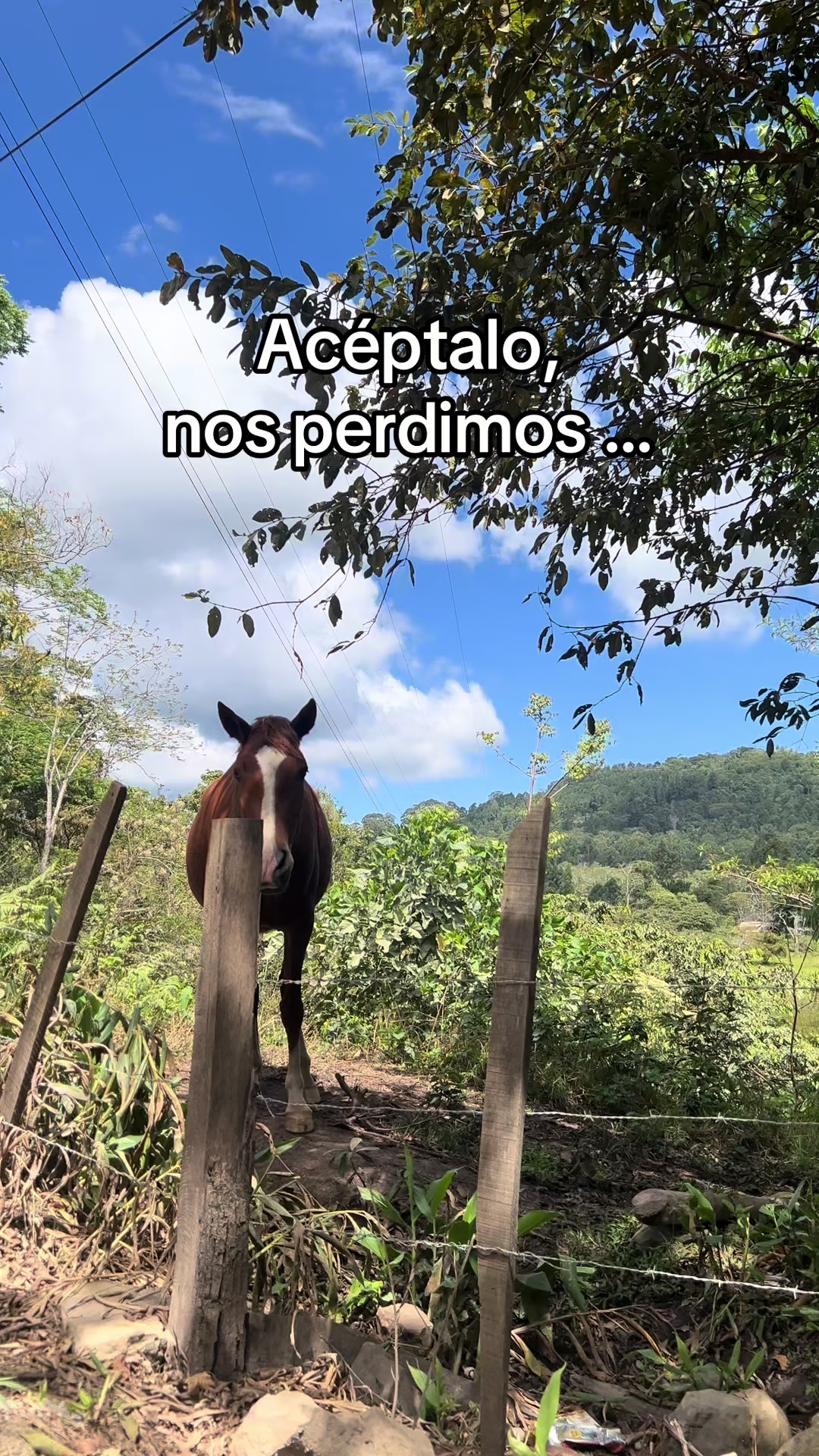 @Karina Vergara 🦋
