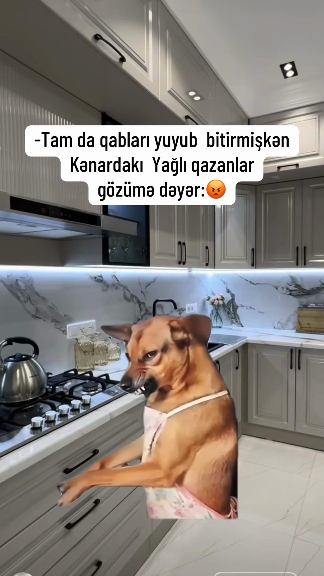 @♈️