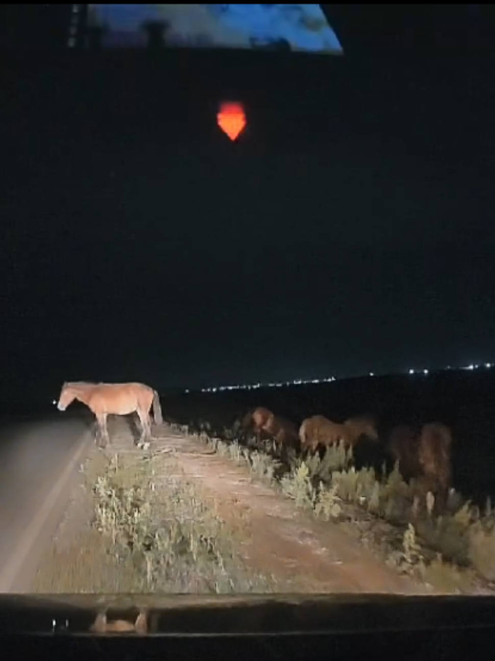 @521 майкаин 360°