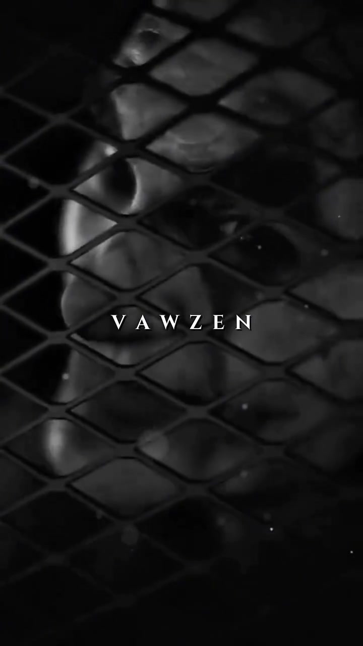@Vawzen